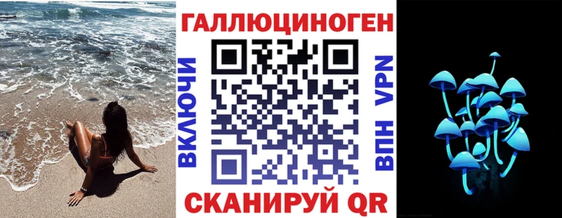 где продают   Бобров  Псилоцибиновые грибы MAGIC MUSHROOMS 